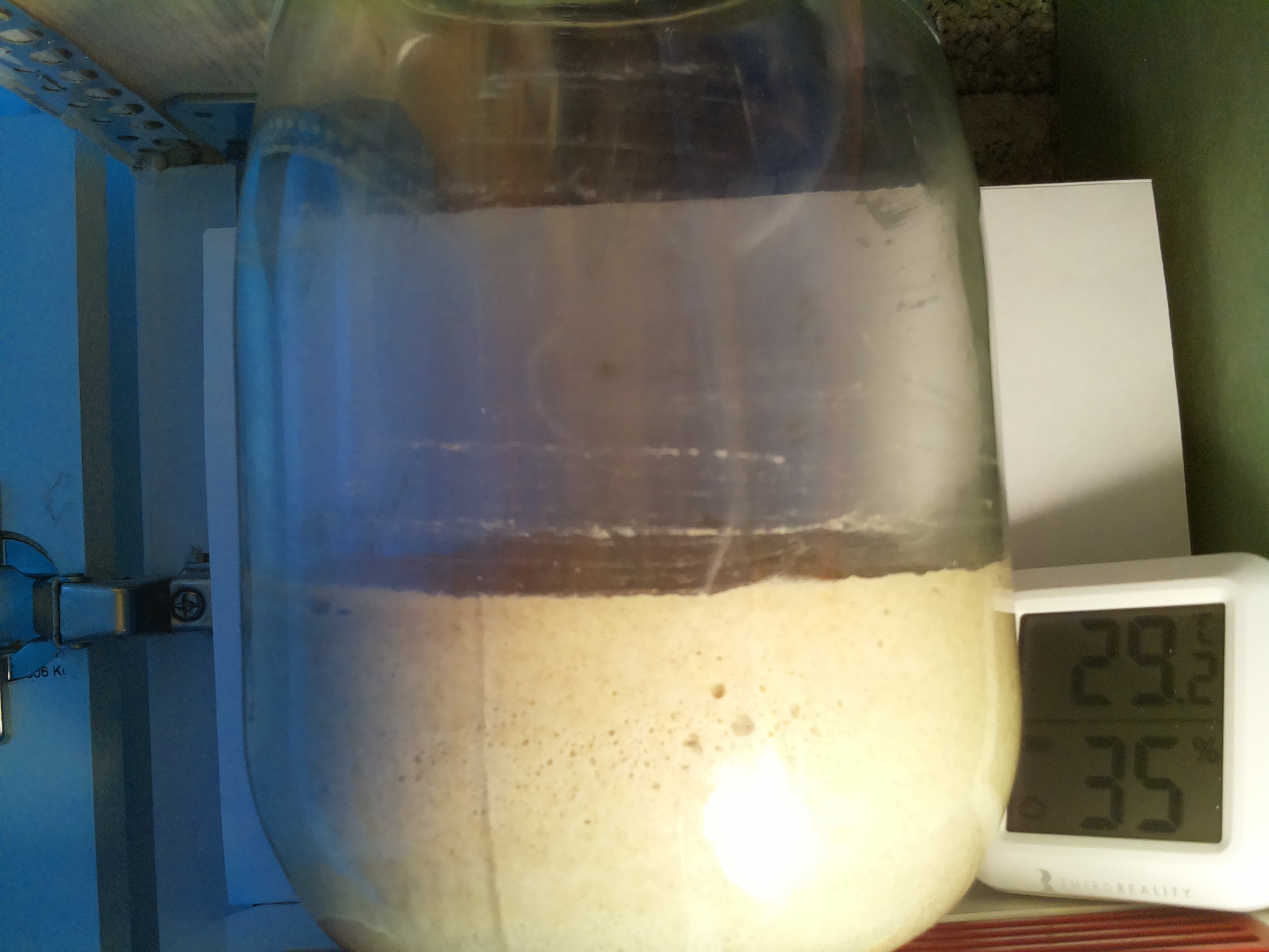 Bild vom Sauerteig