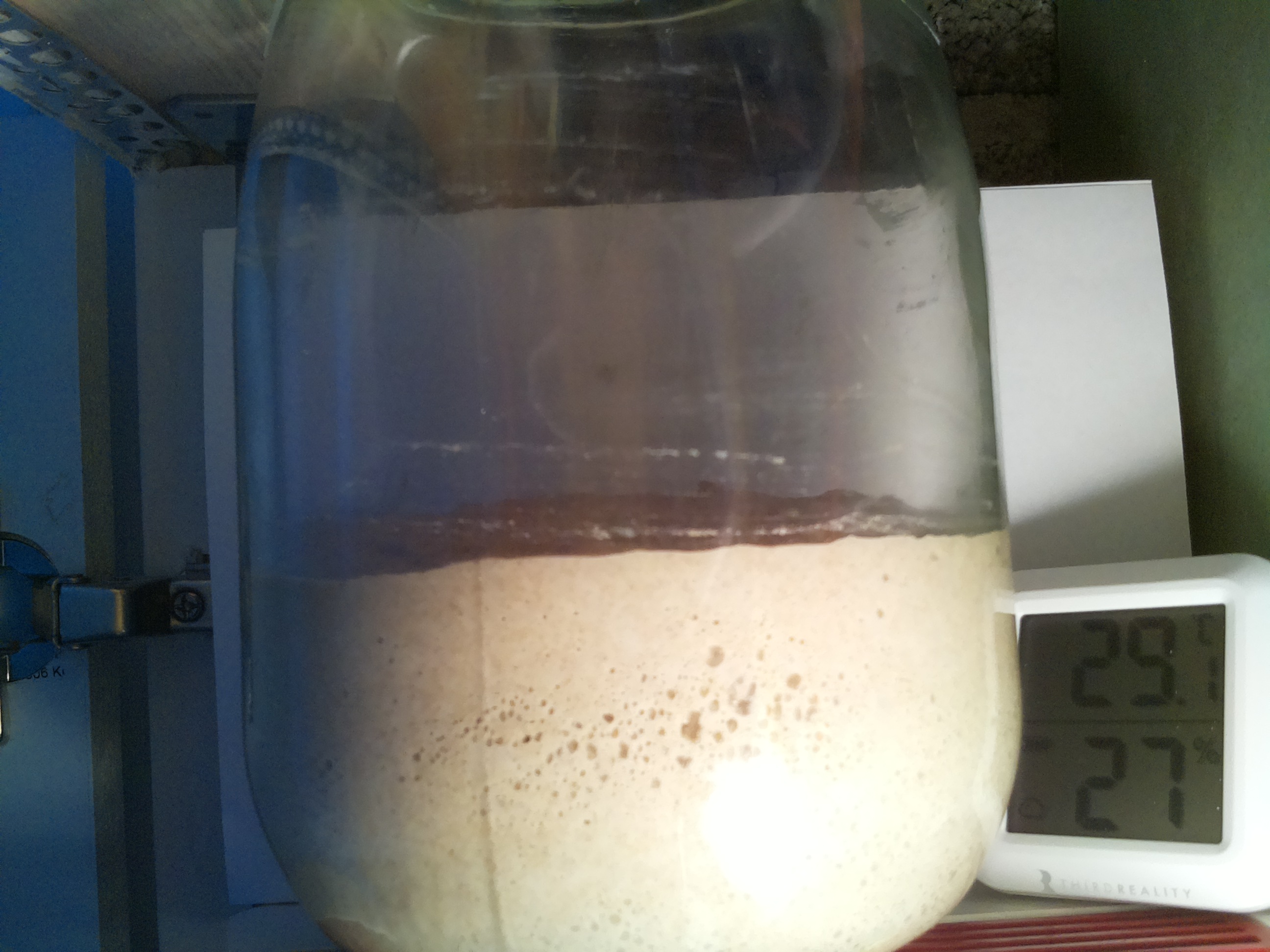 Bild vom Sauerteig