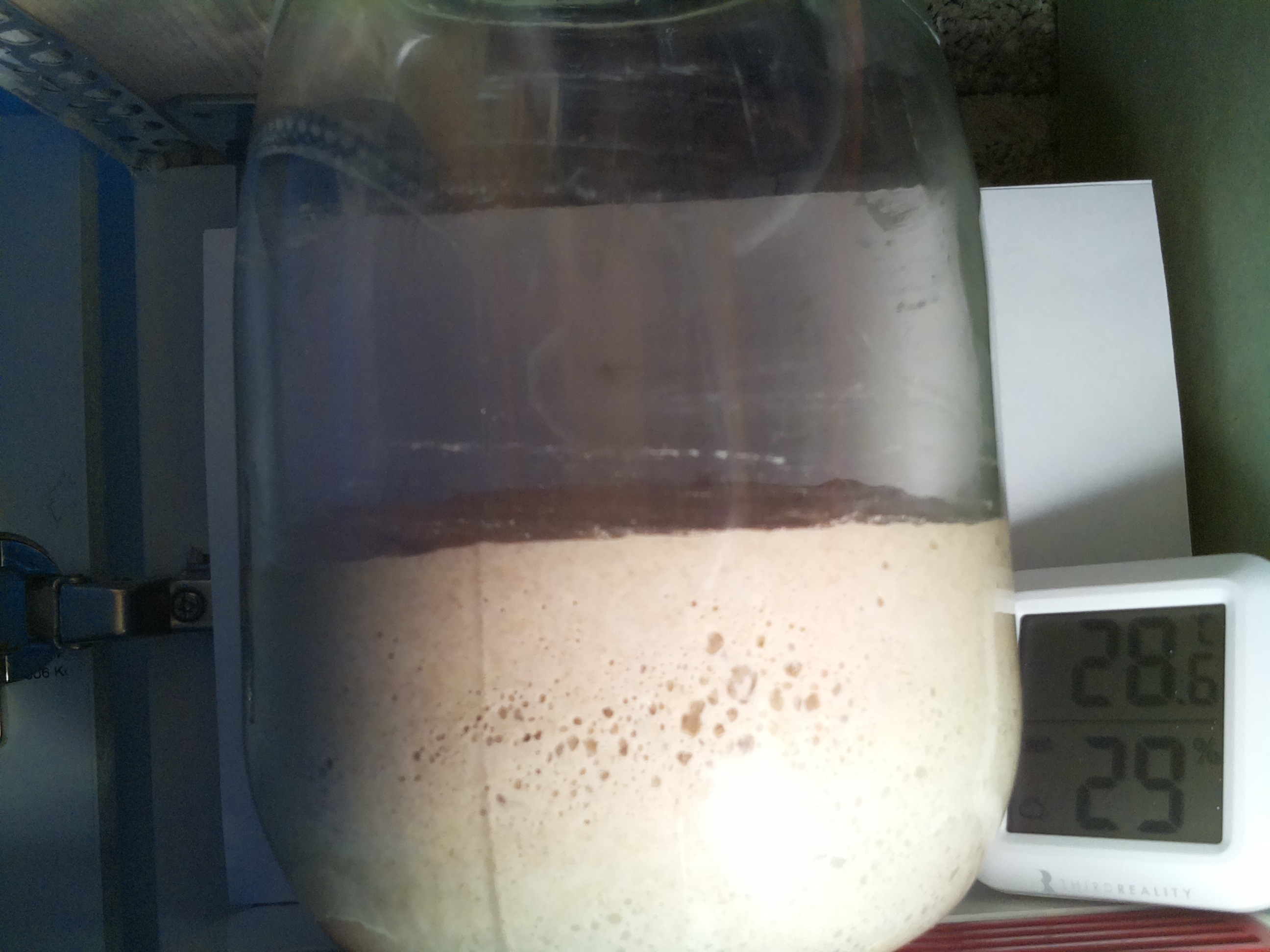 Bild vom Sauerteig