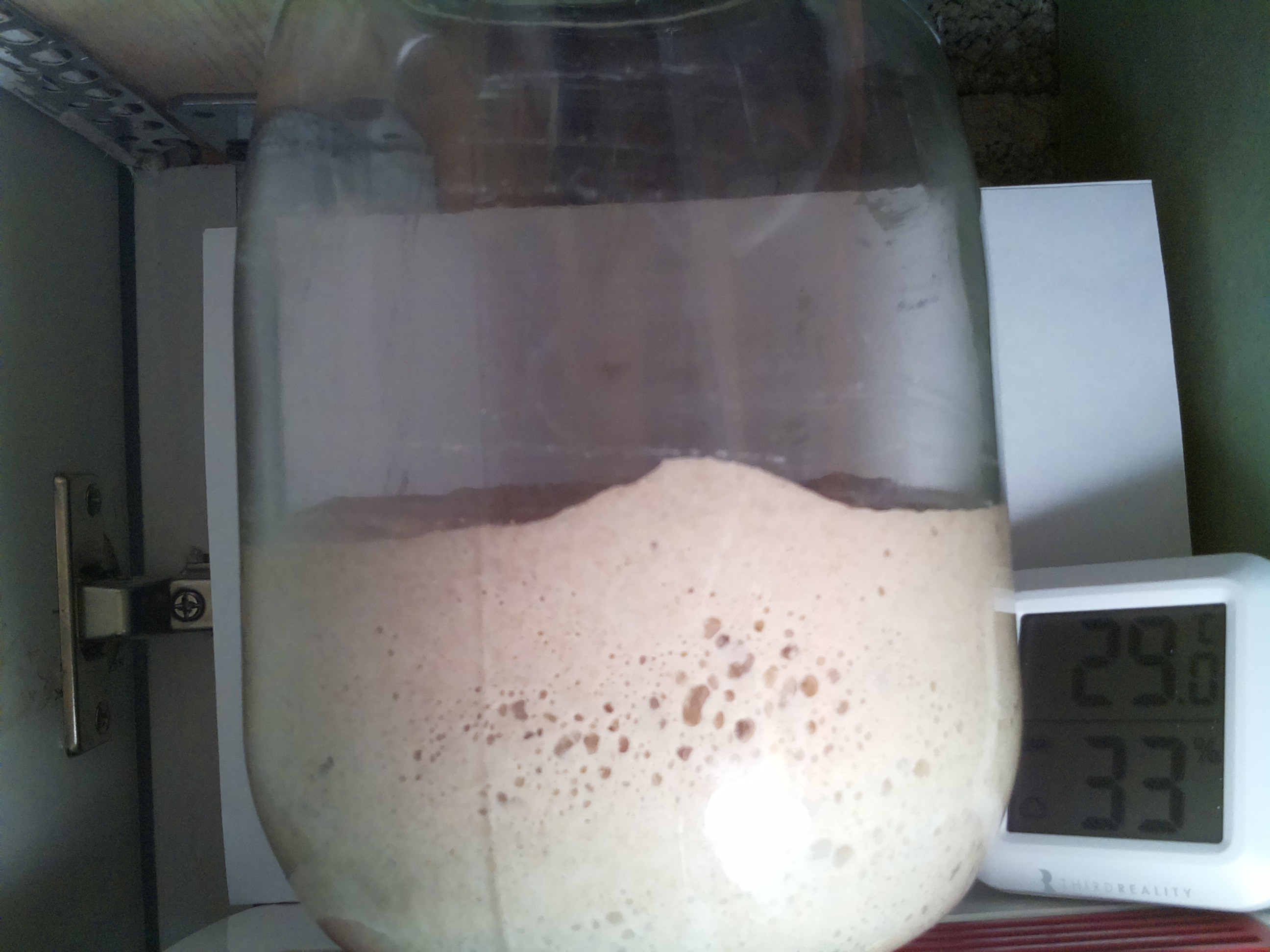 Bild vom Sauerteig