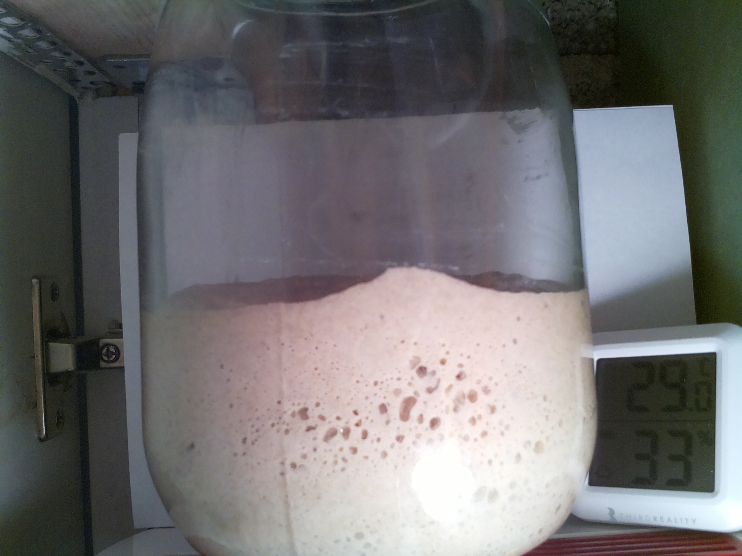 Bild vom Sauerteig