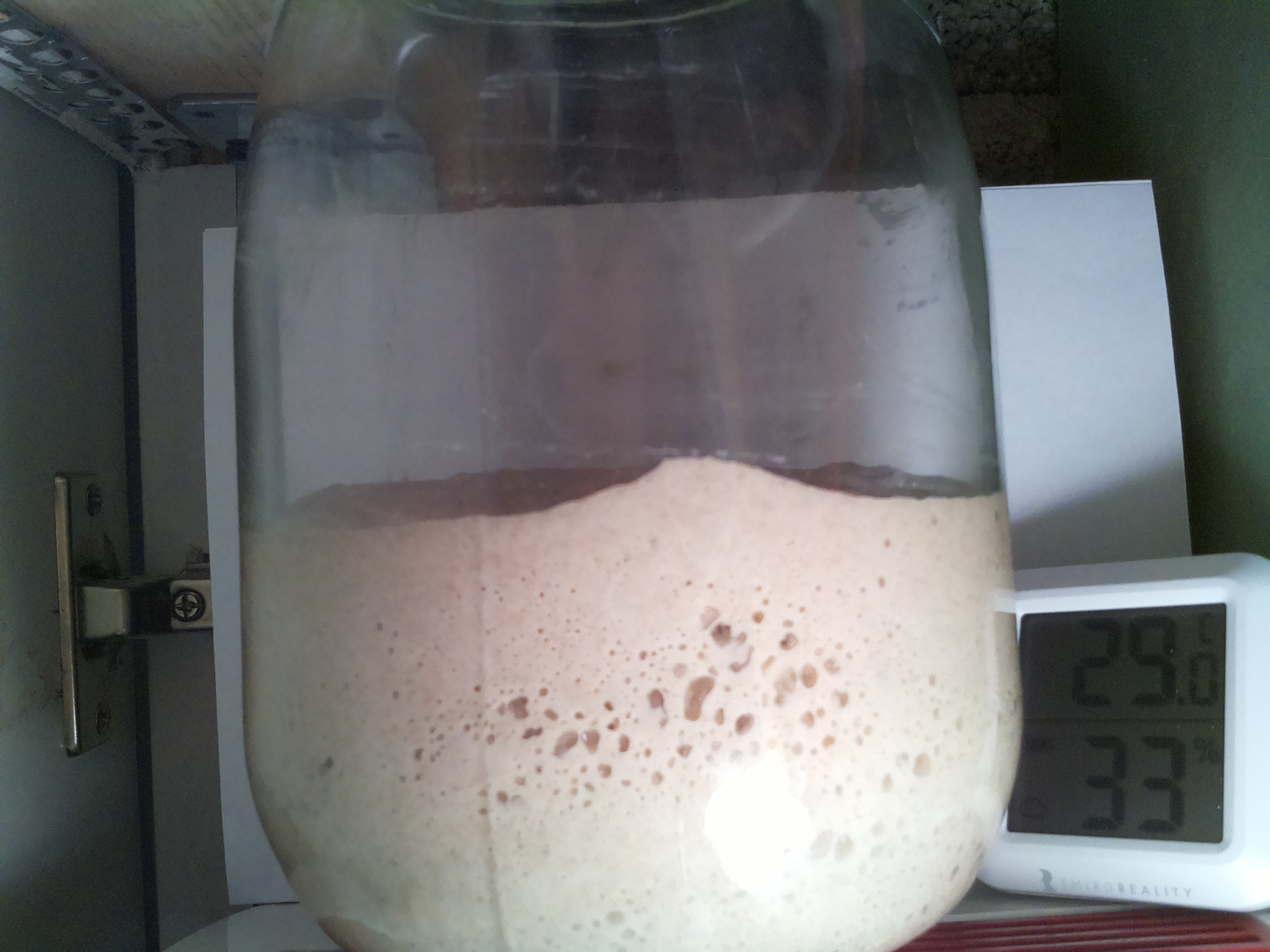 Bild vom Sauerteig