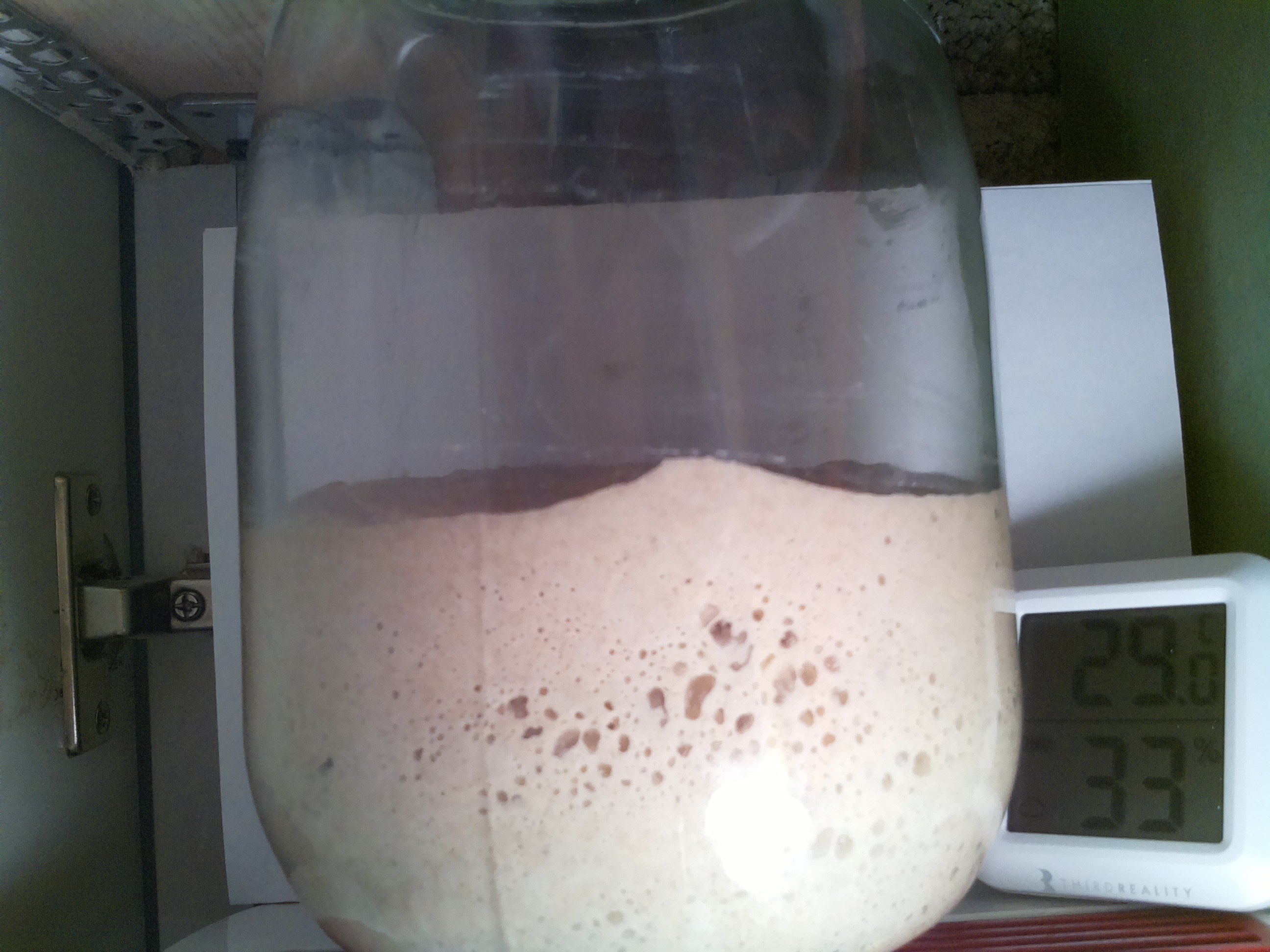 Bild vom Sauerteig