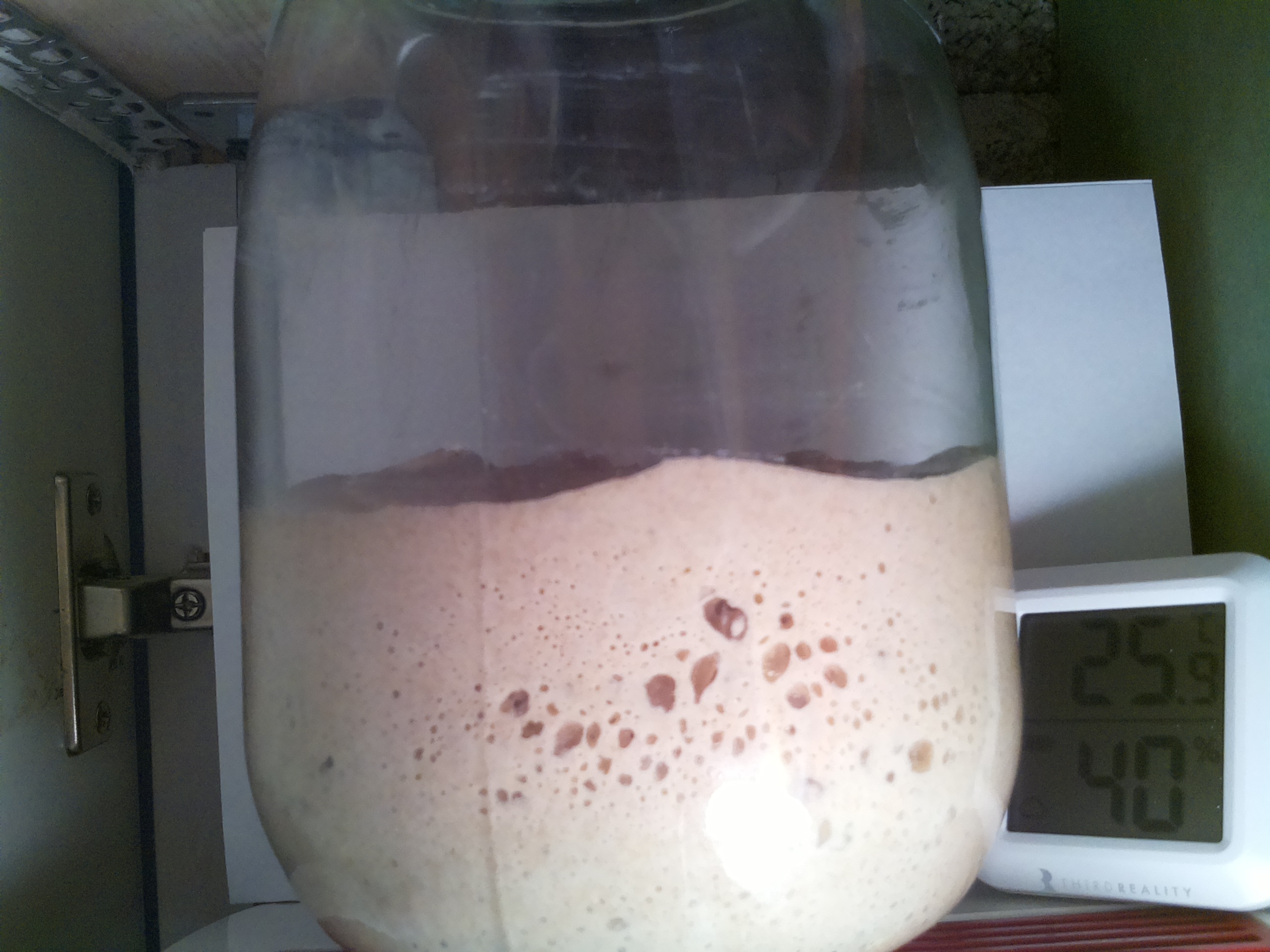 Bild vom Sauerteig
