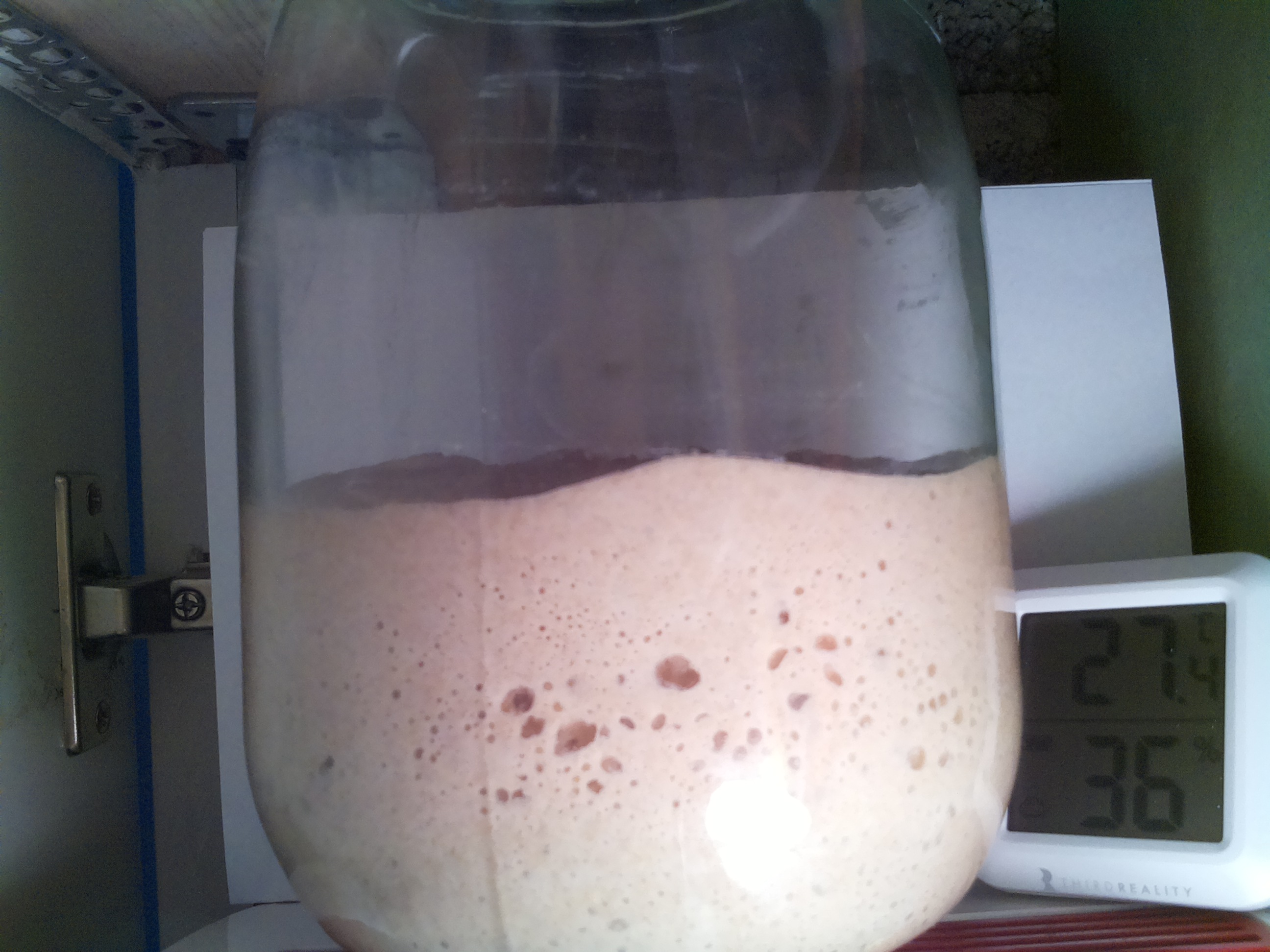 Bild vom Sauerteig