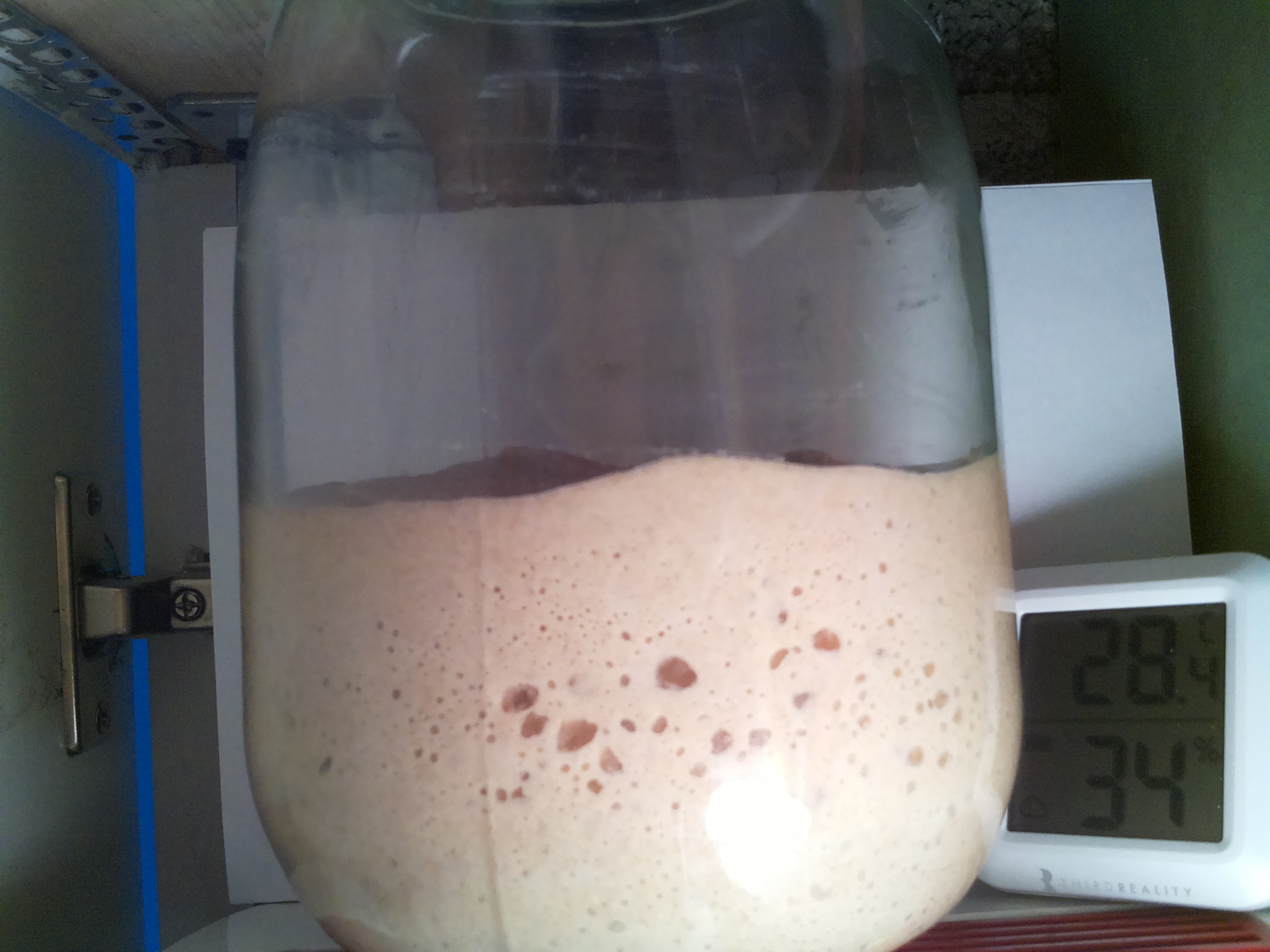 Bild vom Sauerteig