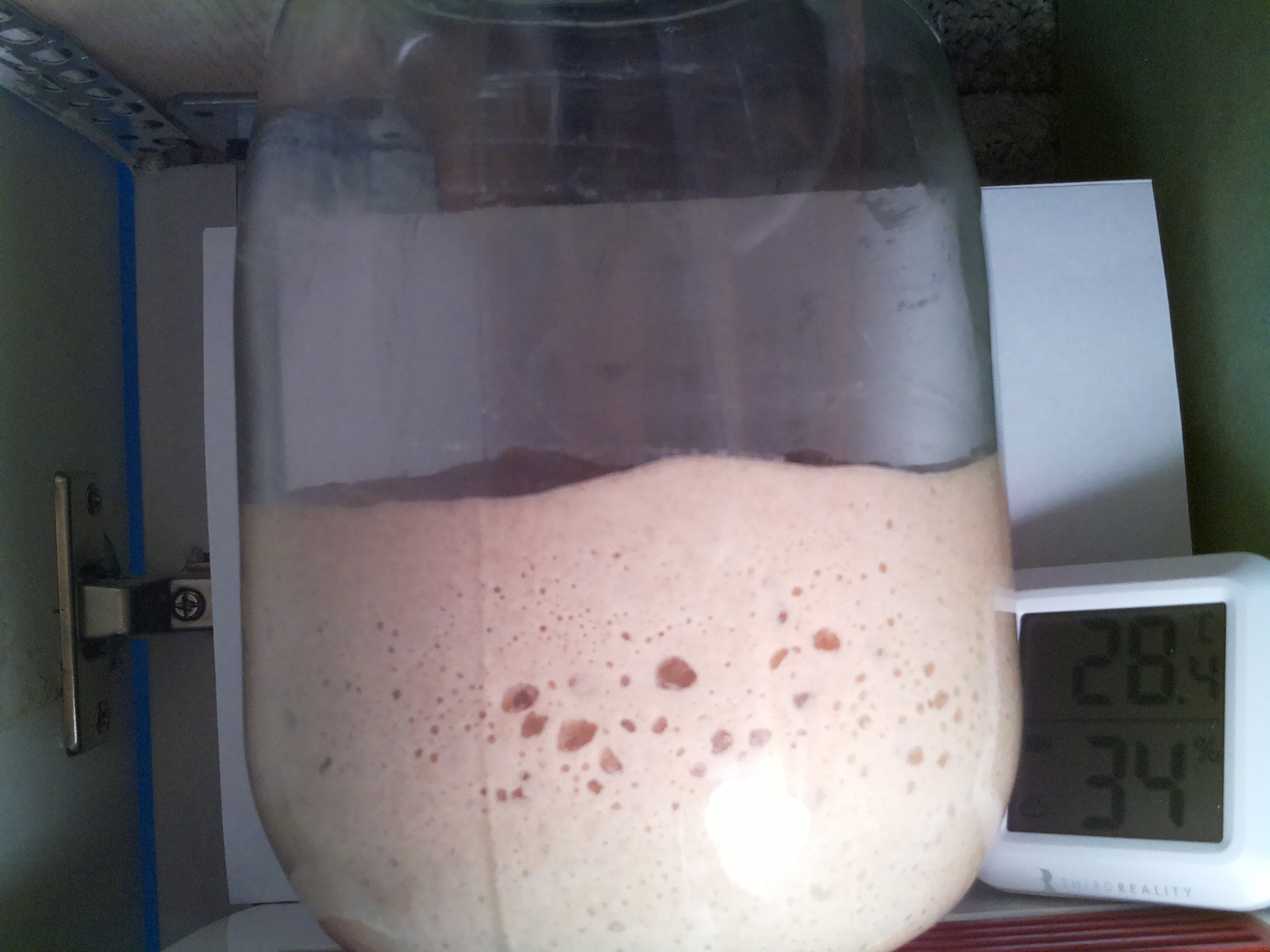 Bild vom Sauerteig