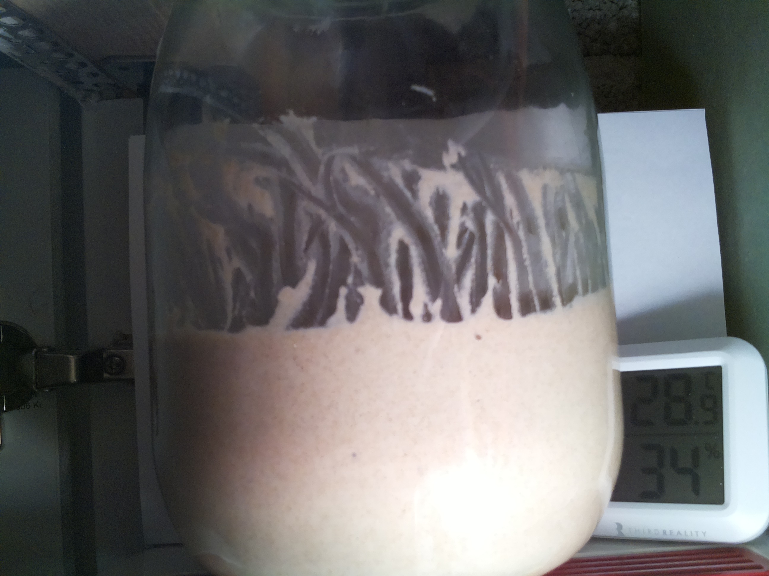 Bild vom Sauerteig