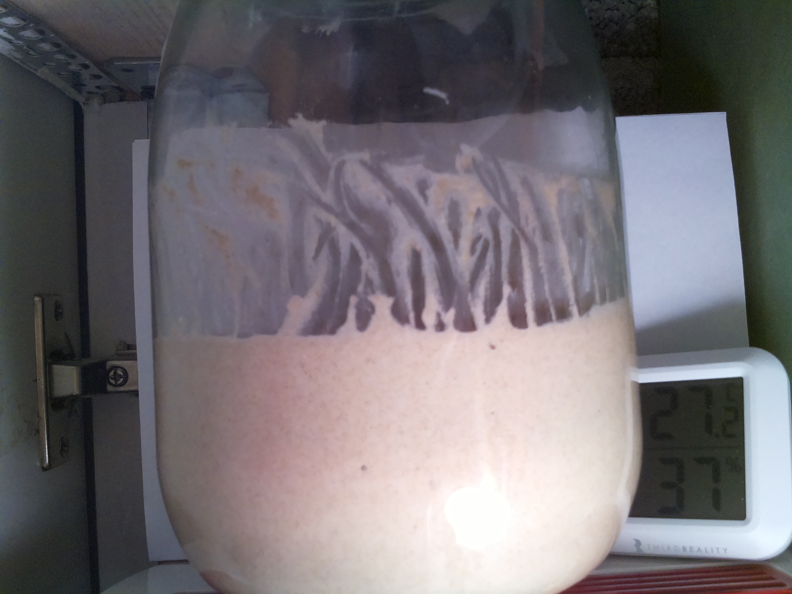 Bild vom Sauerteig