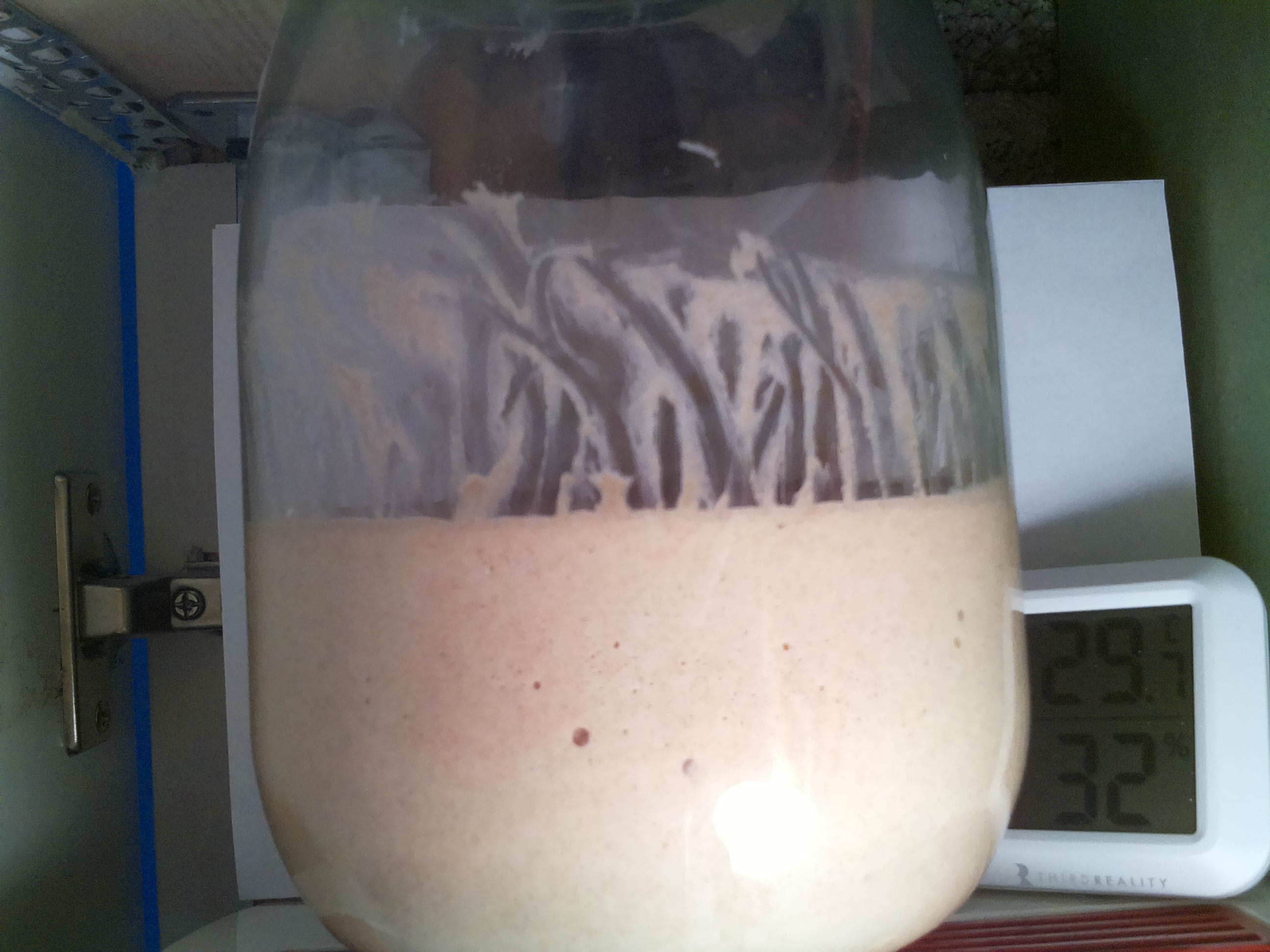 Bild vom Sauerteig