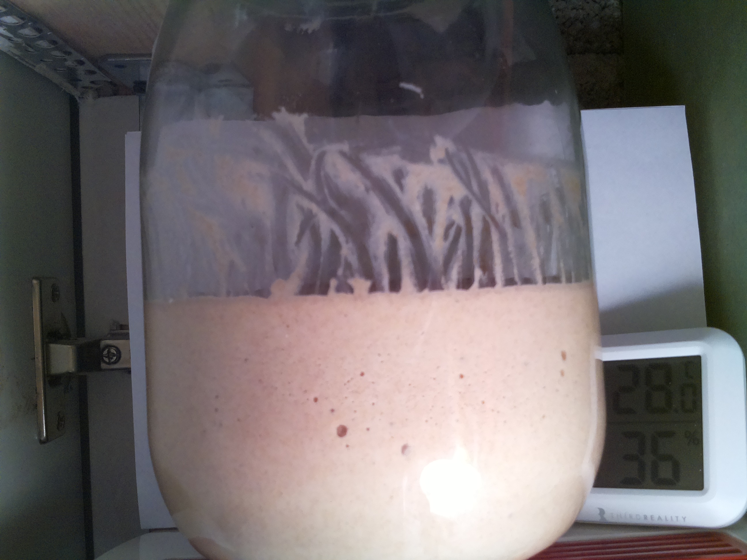 Bild vom Sauerteig