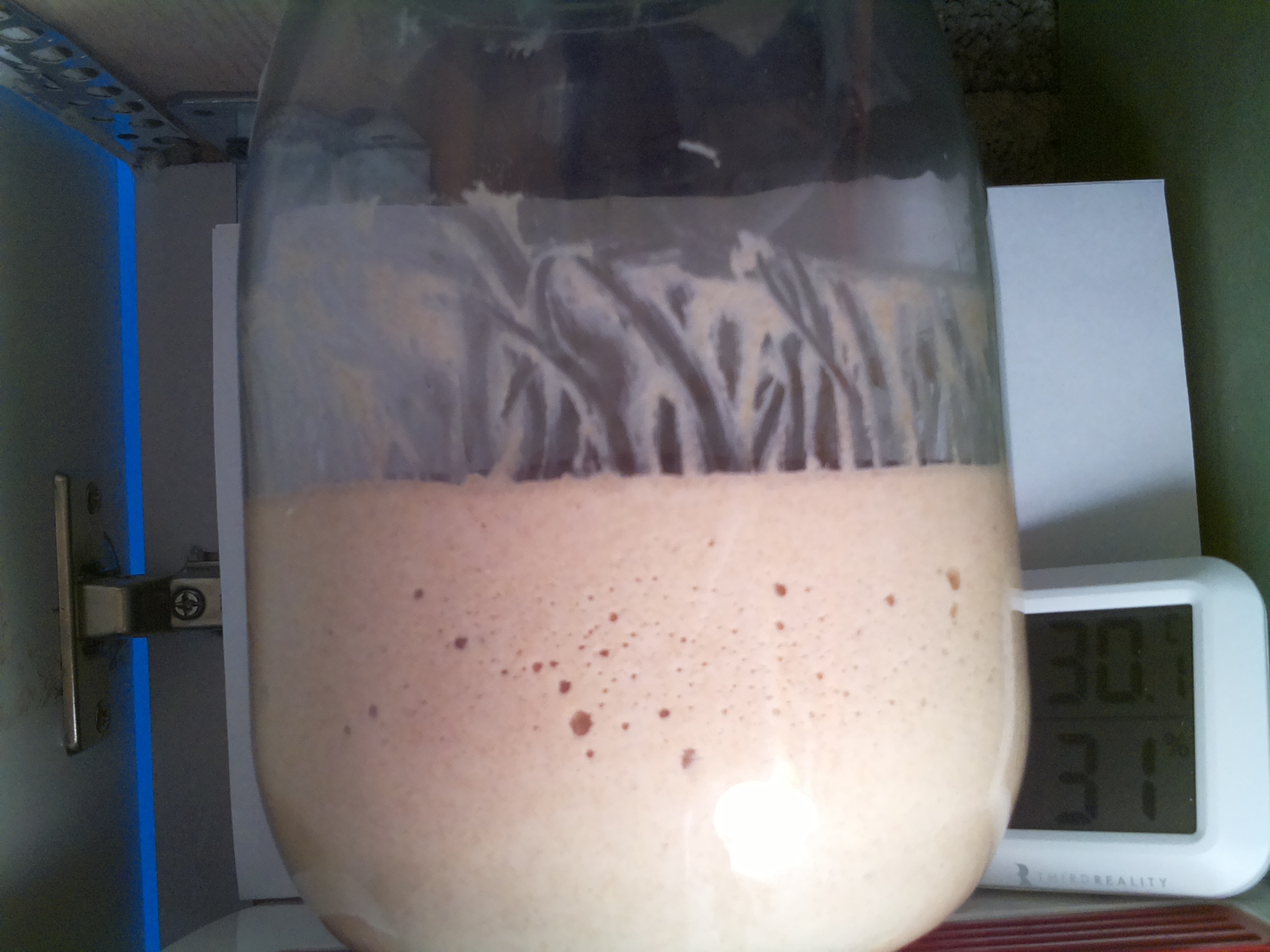 Bild vom Sauerteig