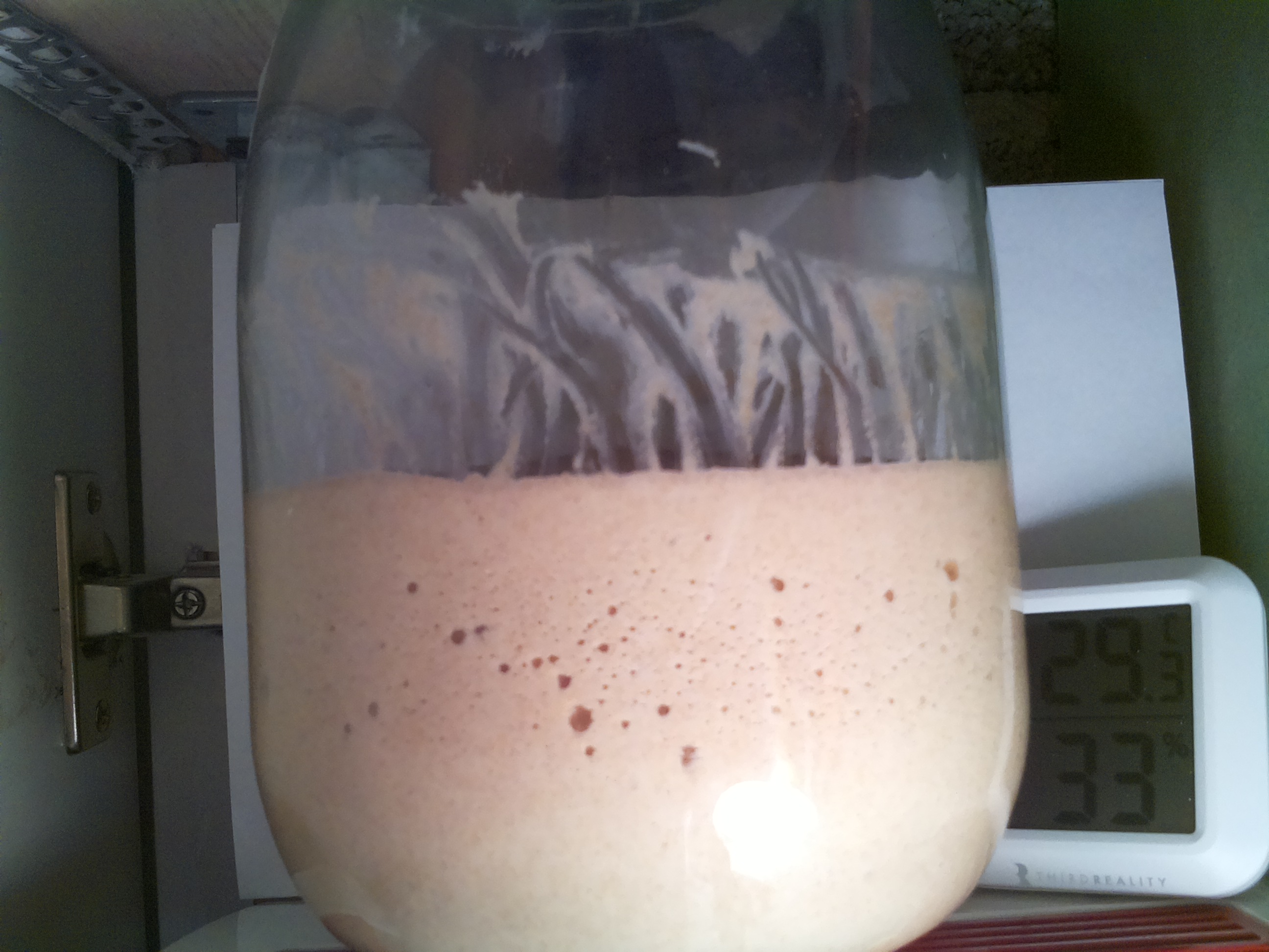 Bild vom Sauerteig