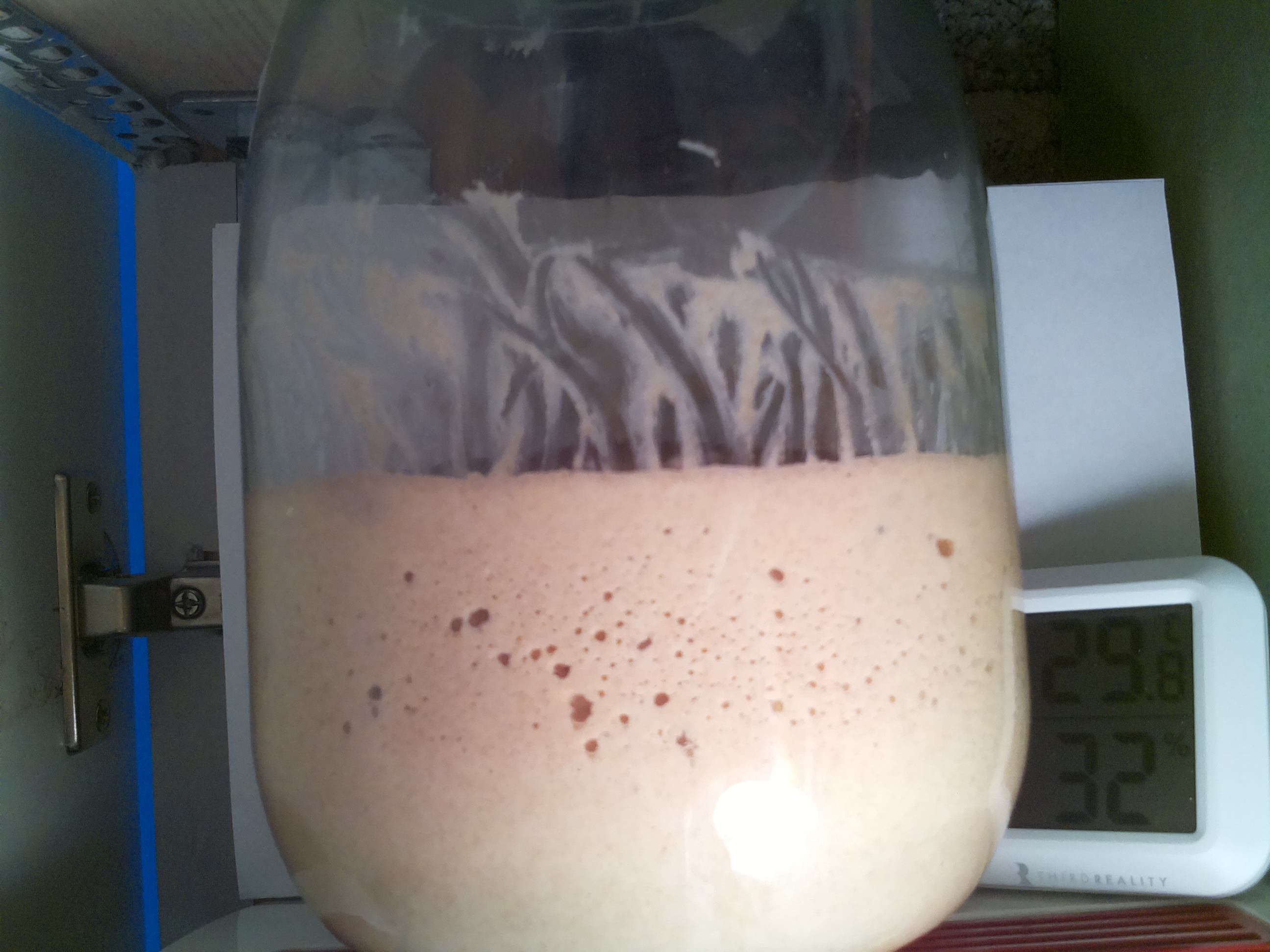 Bild vom Sauerteig