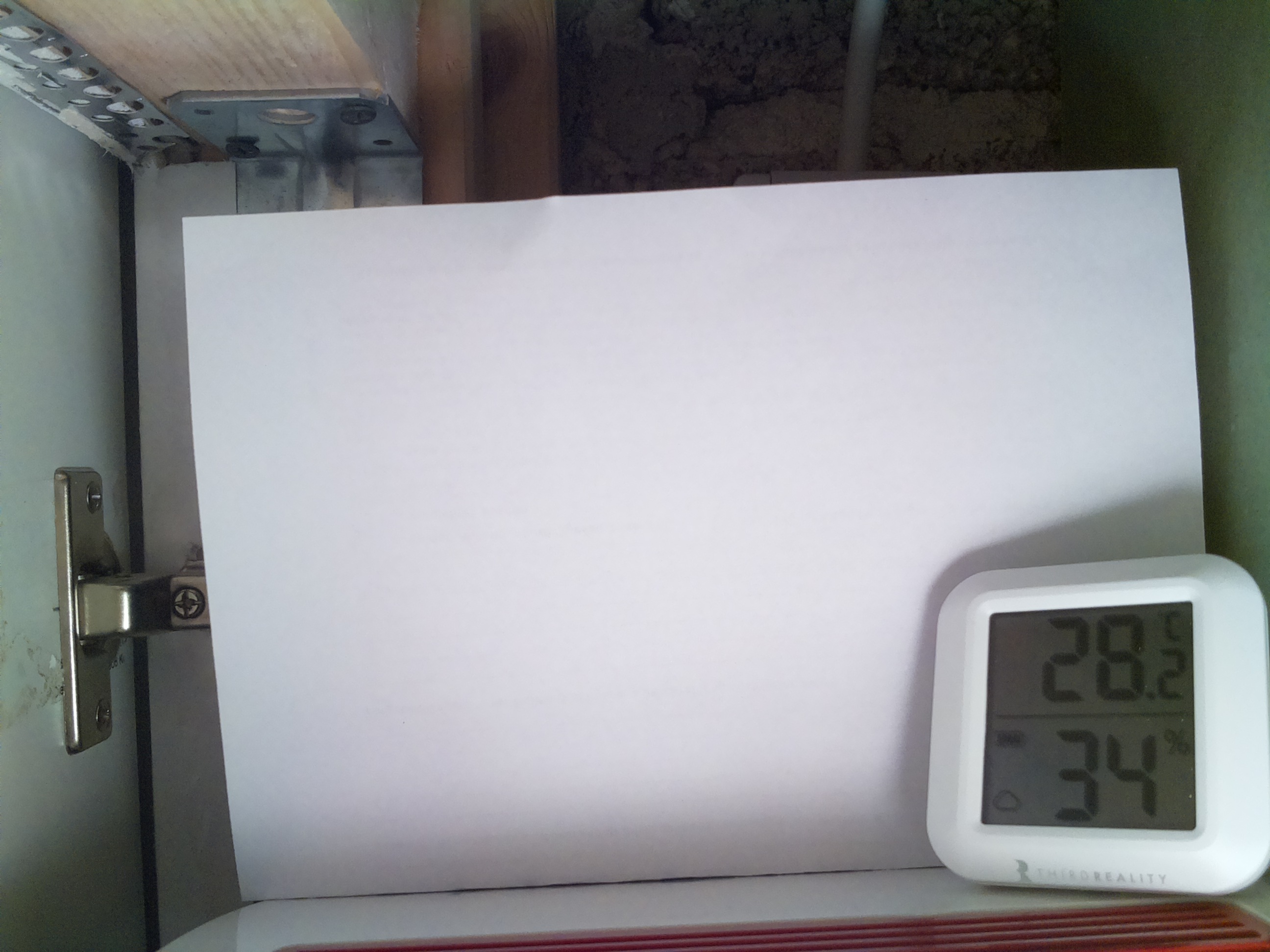 Bild vom Sauerteig