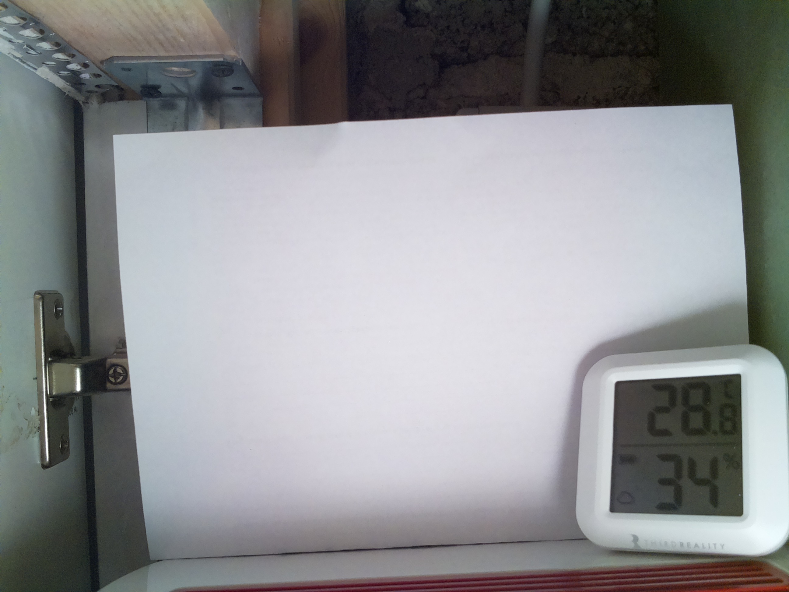 Bild vom Sauerteig