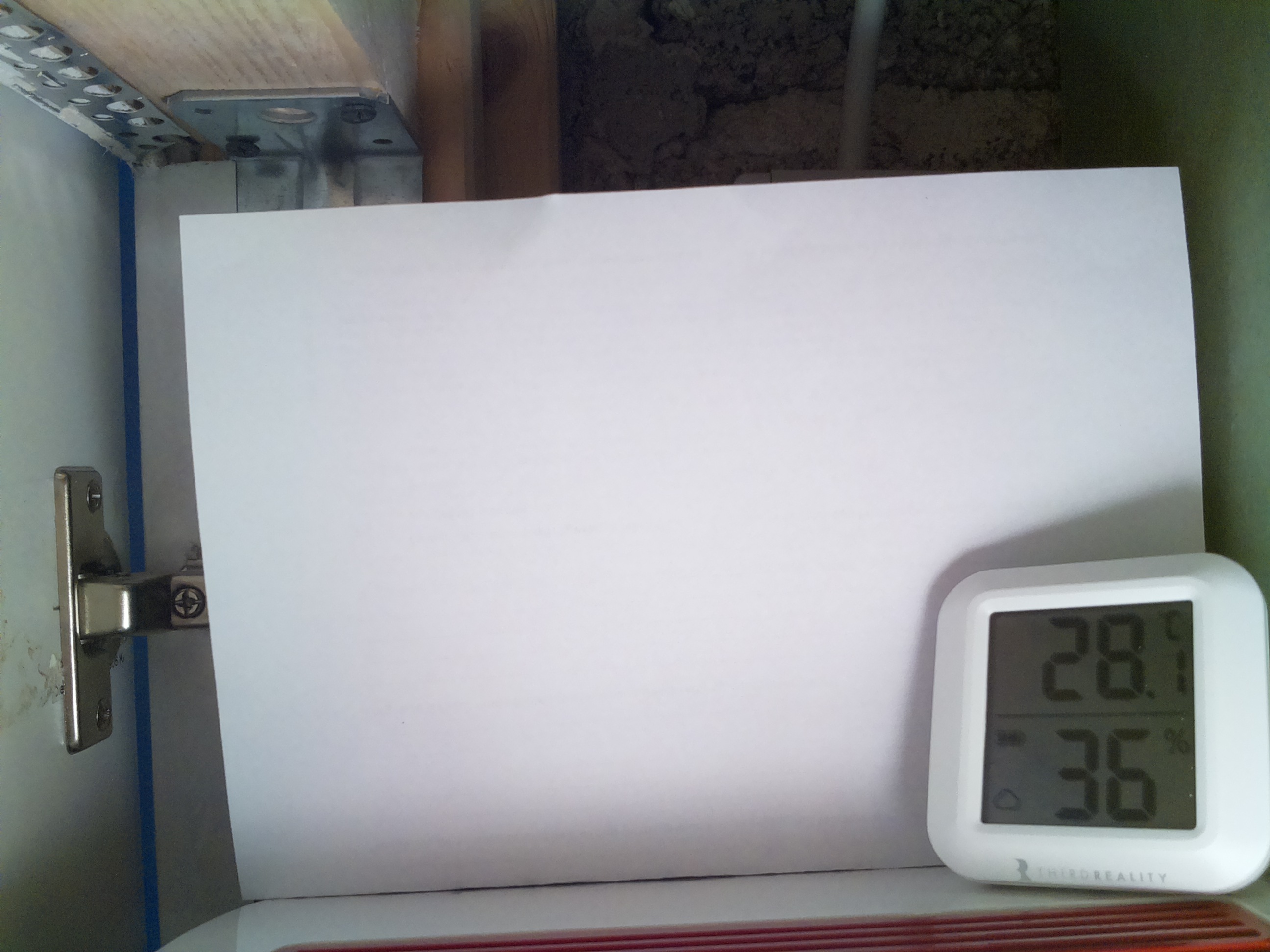 Bild vom Sauerteig