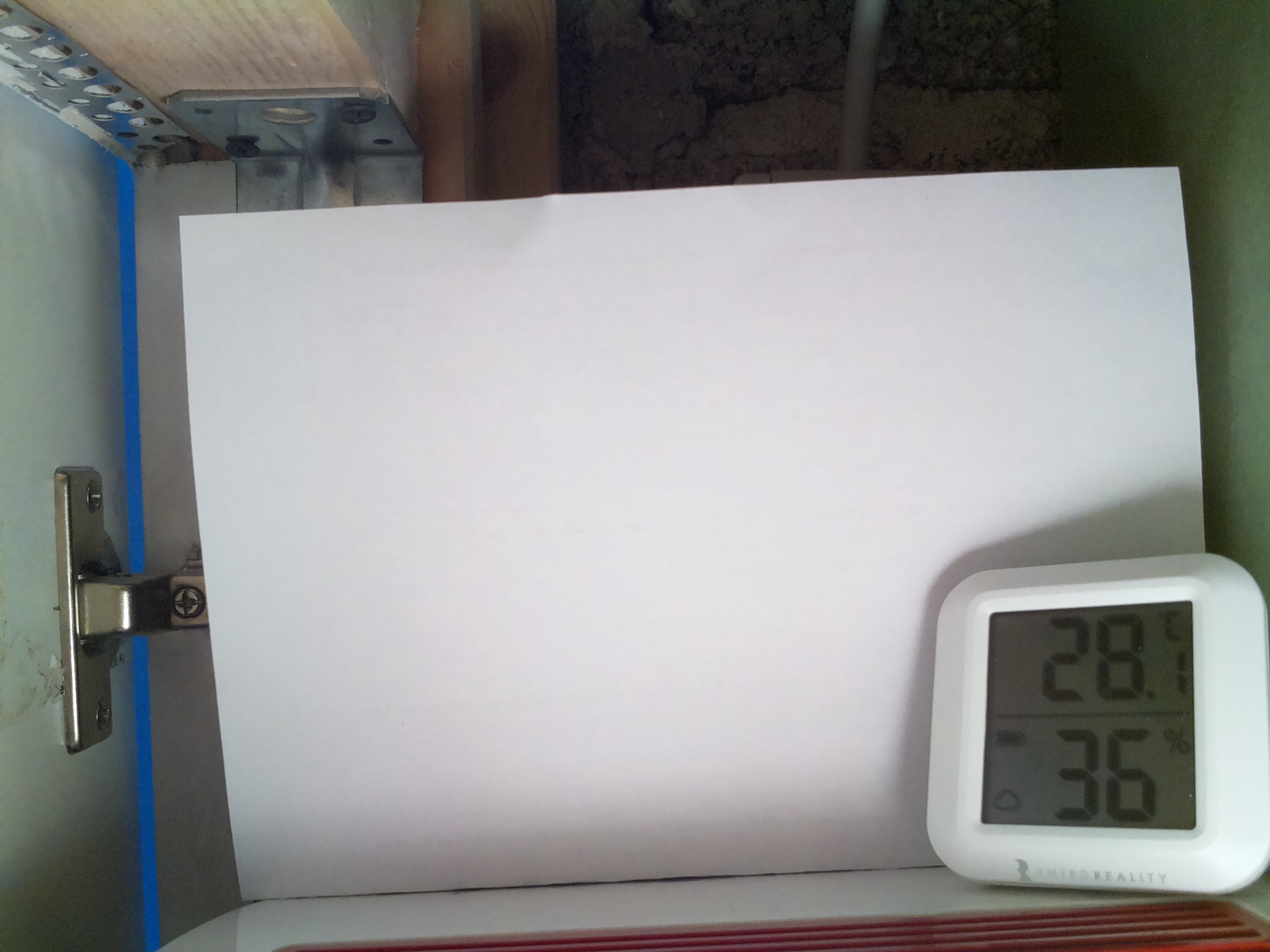 Bild vom Sauerteig