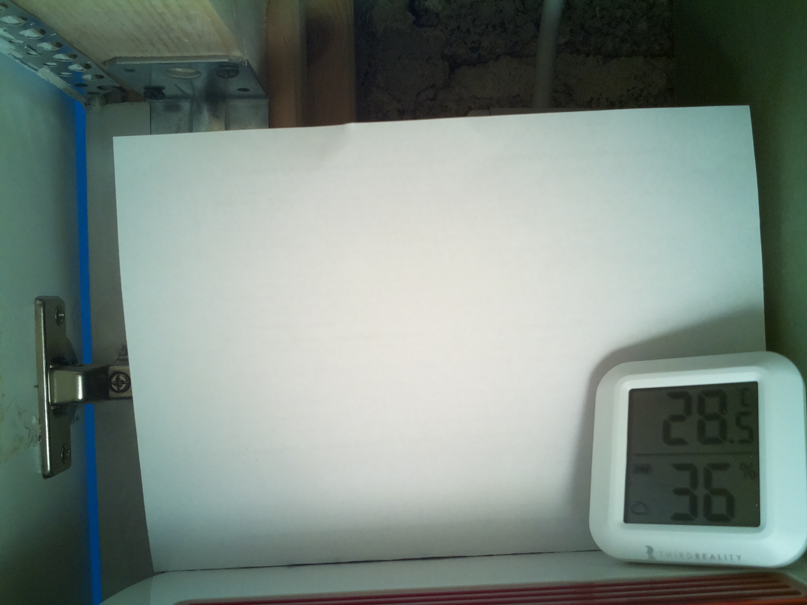 Bild vom Sauerteig