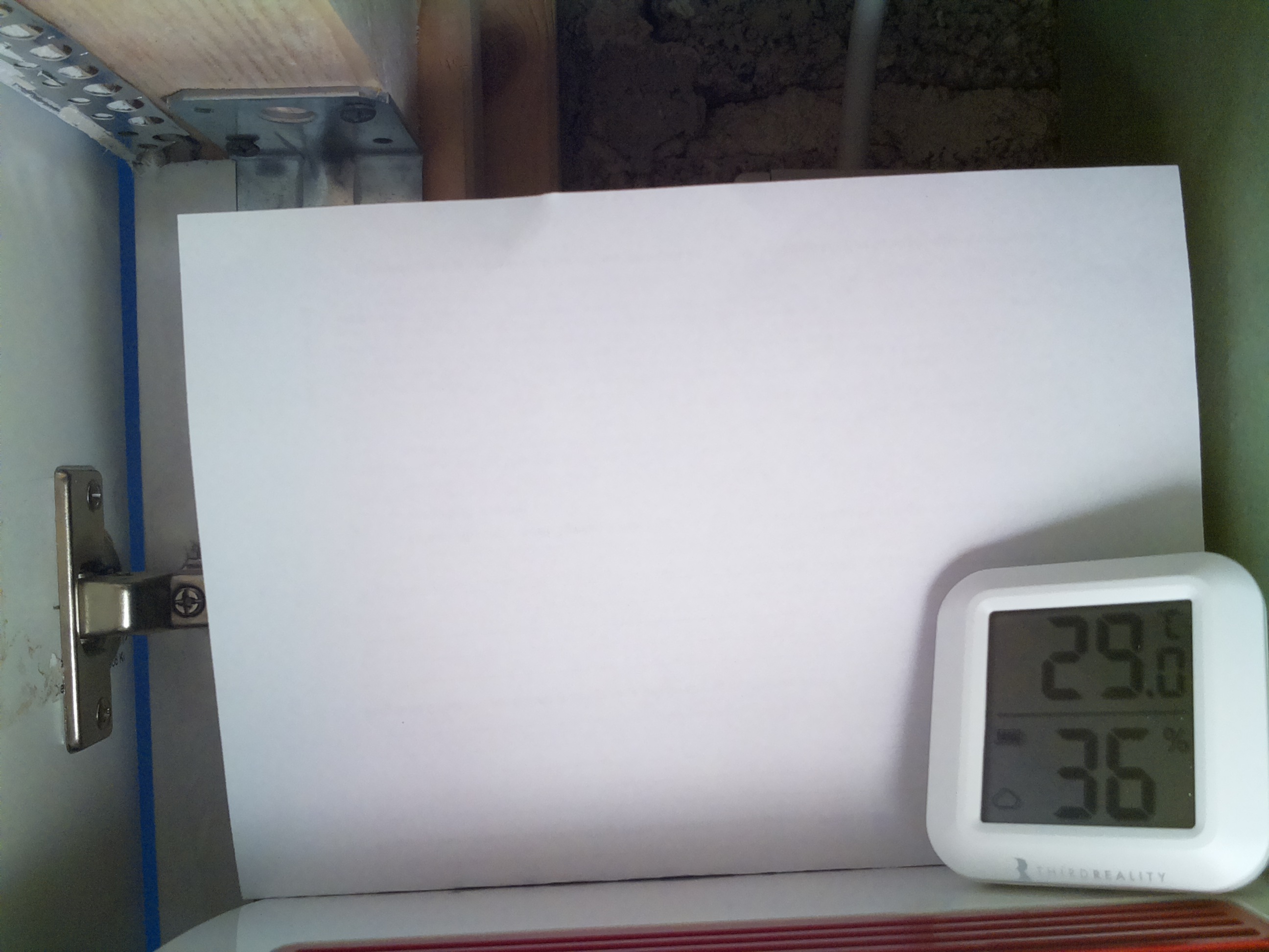 Bild vom Sauerteig