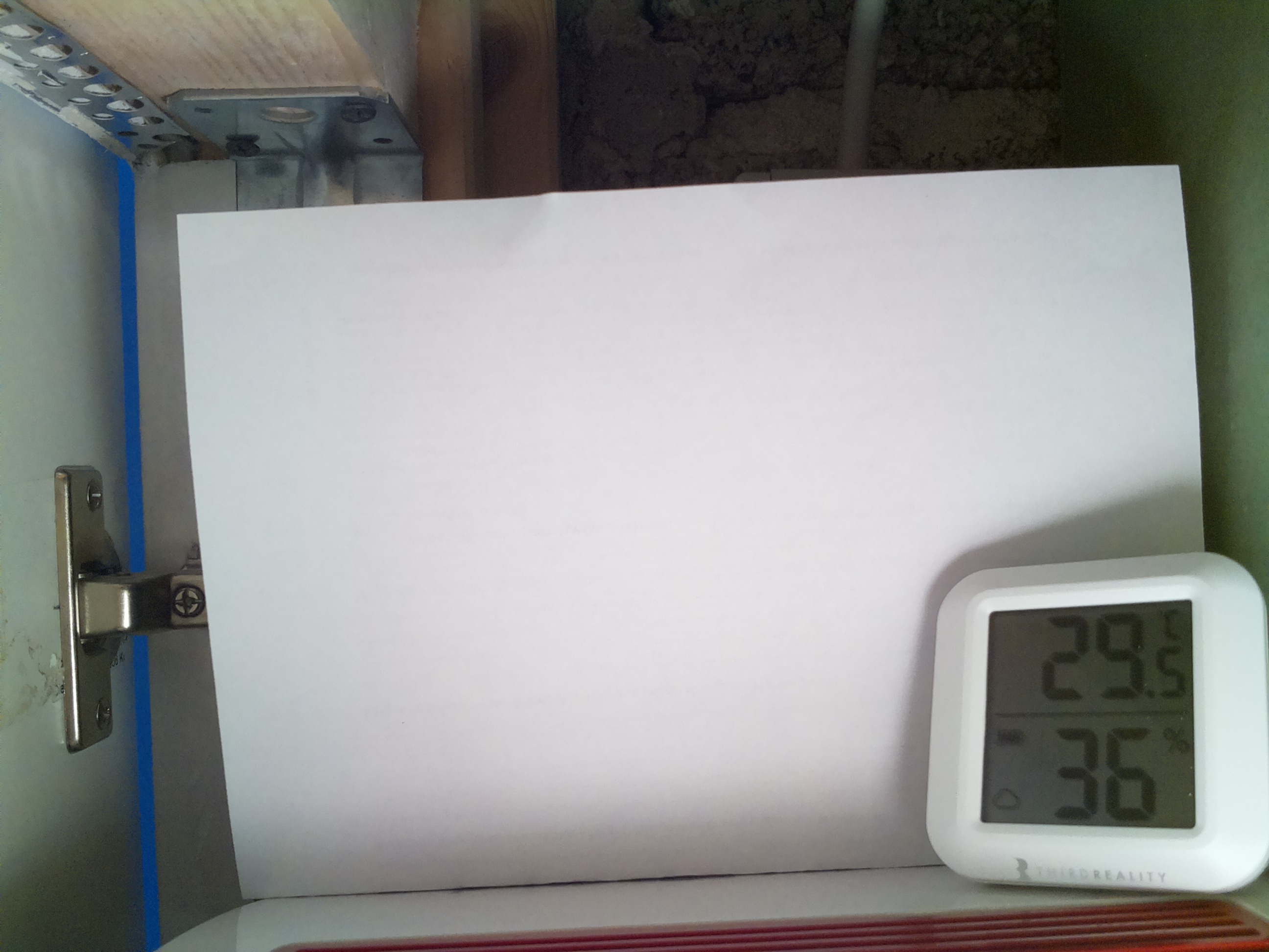 Bild vom Sauerteig