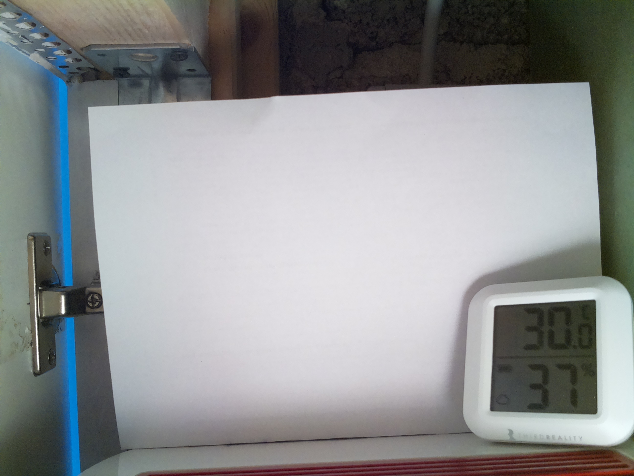 Bild vom Sauerteig