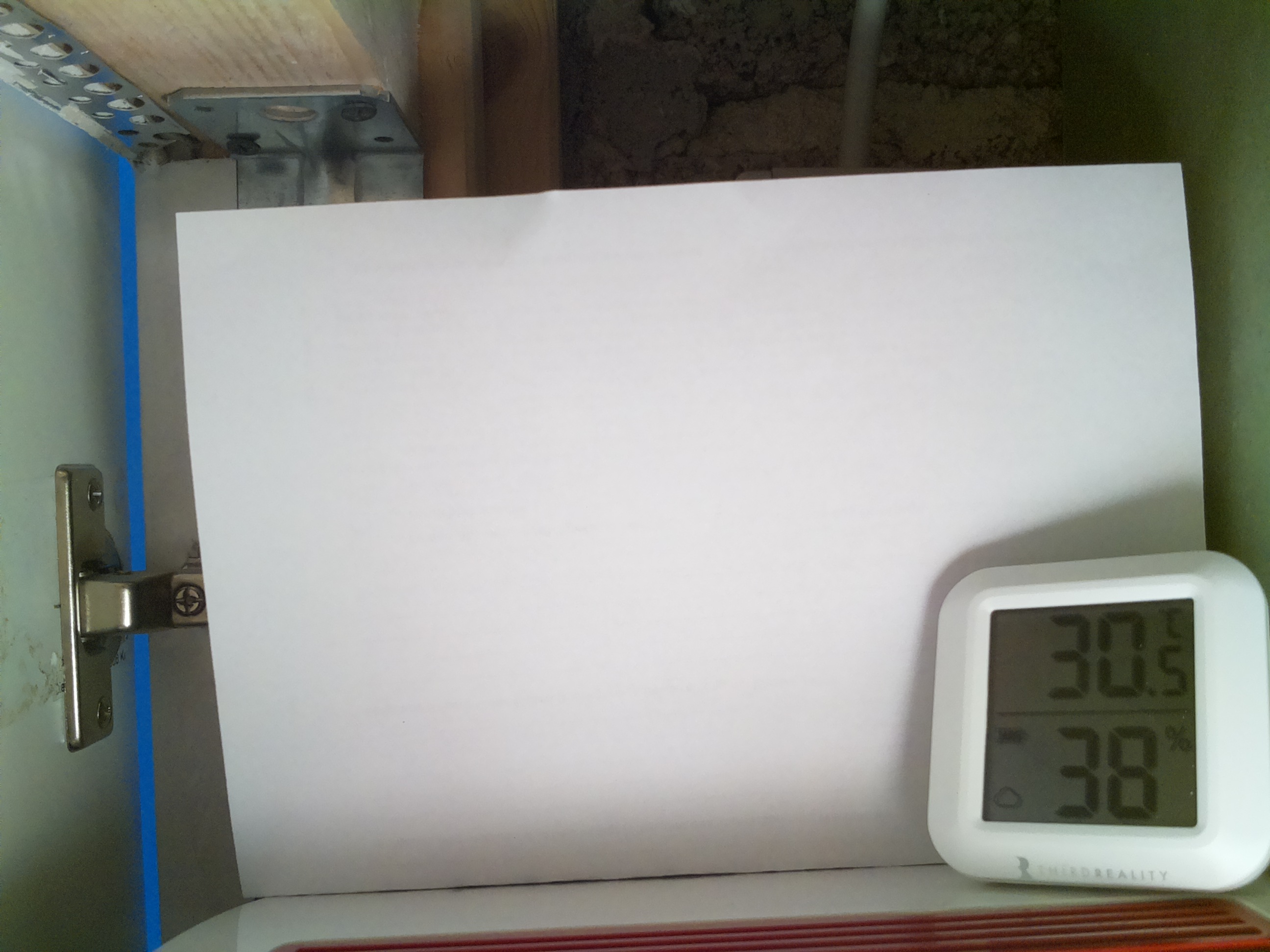 Bild vom Sauerteig