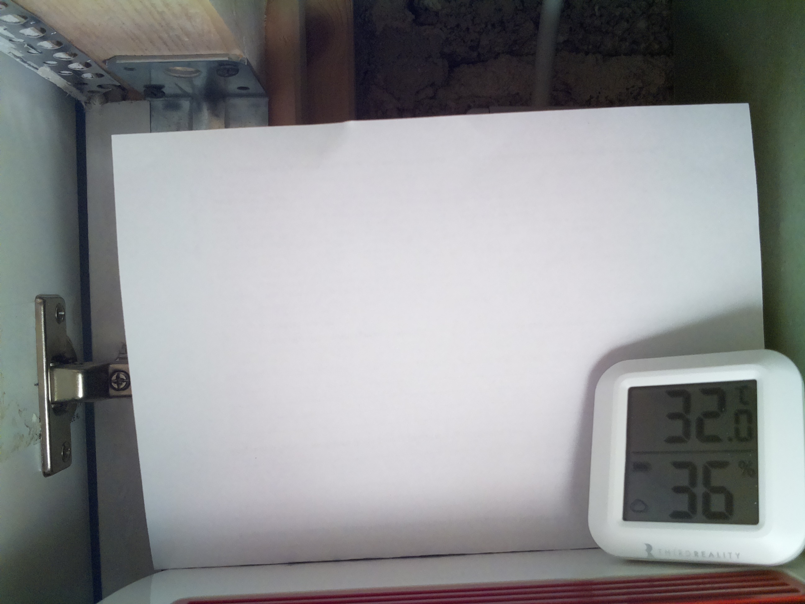 Bild vom Sauerteig