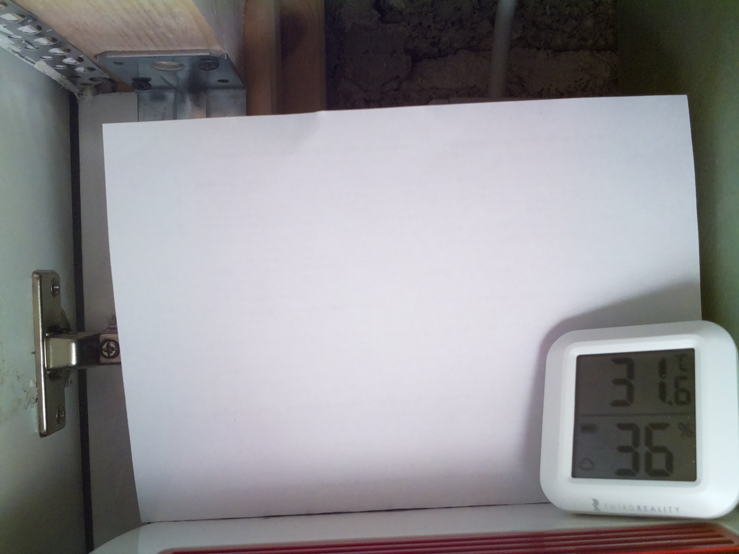 Bild vom Sauerteig