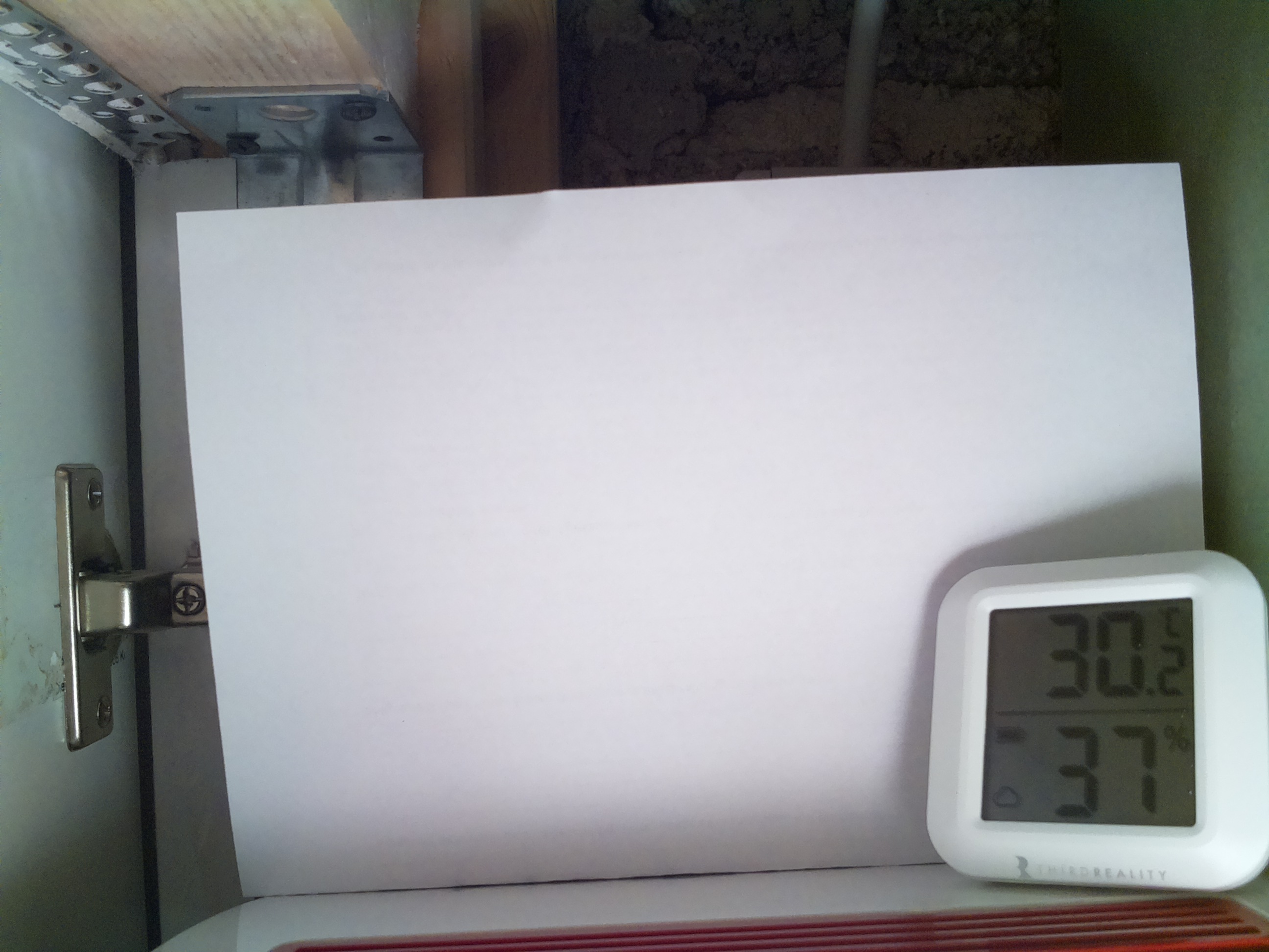 Bild vom Sauerteig